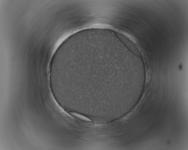 X0000116121430200912141034