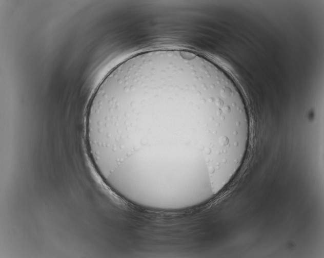 X0000116121431200912141034