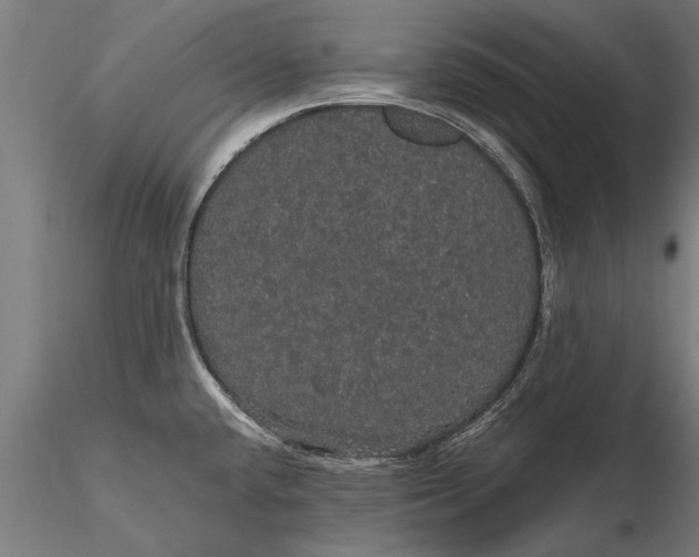 X0000116121432200912141034