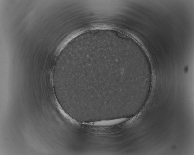 X0000116121433200912141034