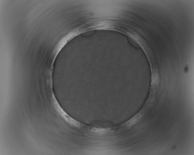 X0000116121434200912141034