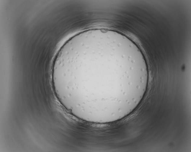 X0000116121435200912141034