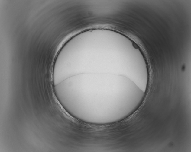 X0000116121436200912141034