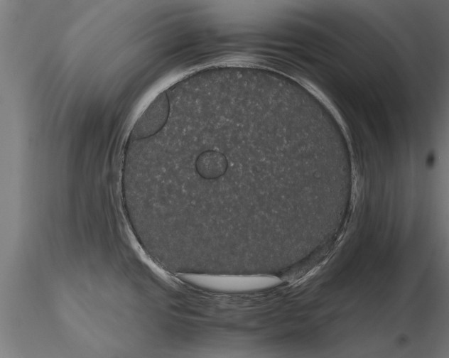 X0000116121437200912141034