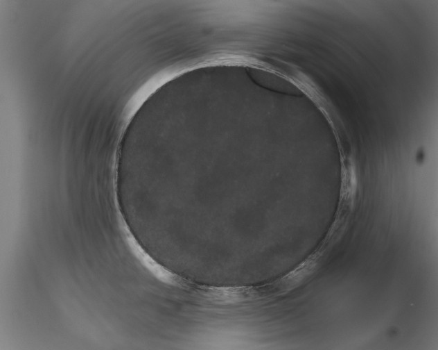 X0000116121438200912141034