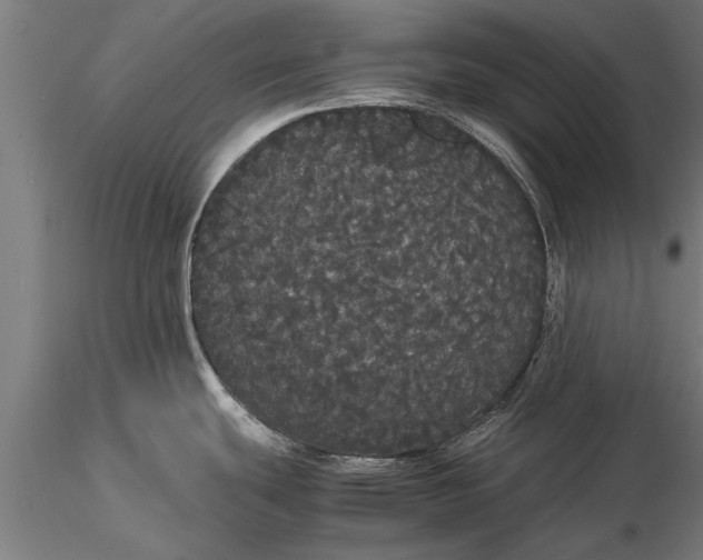 X0000116121439200912141034