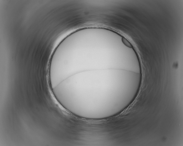 X0000116121440200912141034