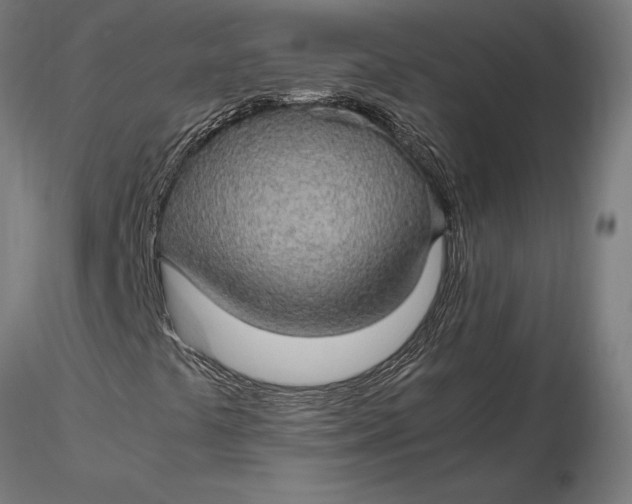 X0000116121441200912141034