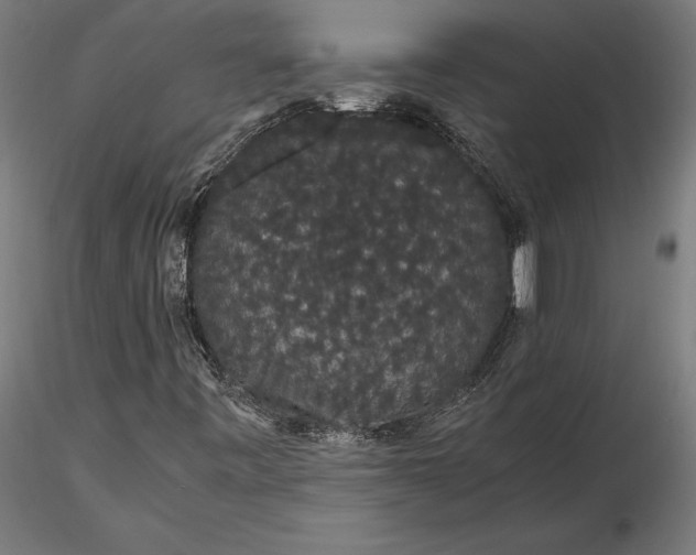 X0000116121443200912141034