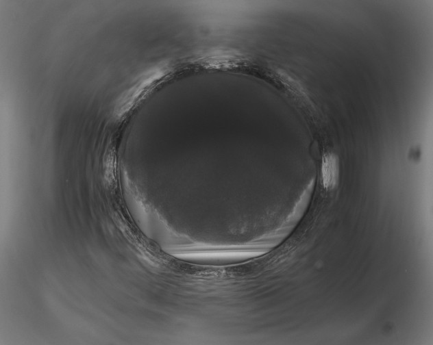 X0000116121444200912141033