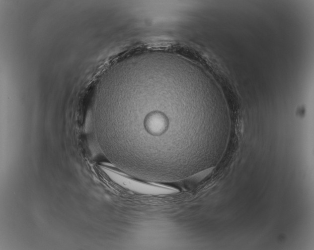 X0000116121445200912141033