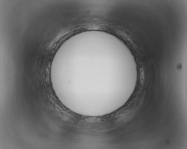 X0000116121446200912141033