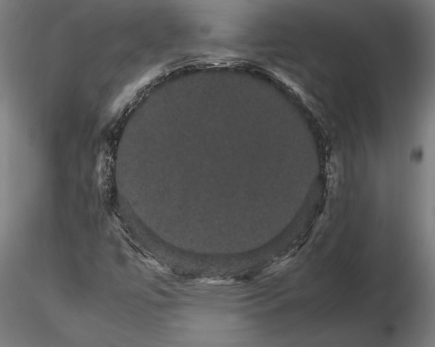 X0000116121447200912141033