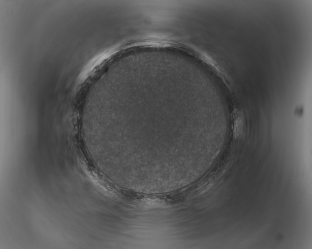 X0000116121448200912141033