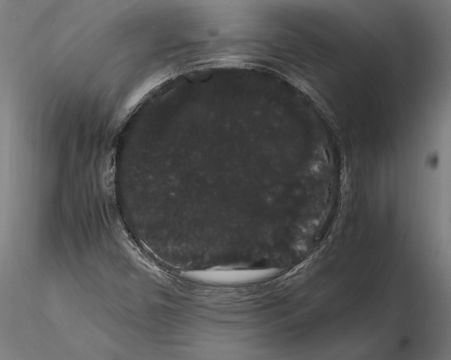 X0000116121450200912141033