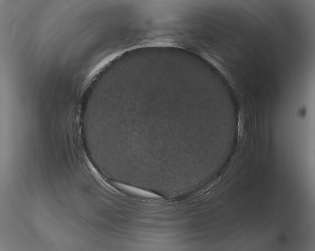 X0000116121452200912141033