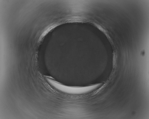 X0000116121453200912141033