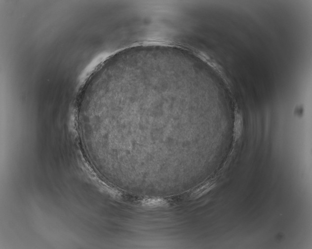 X0000116121454200912141033