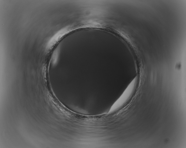 X0000116121455200912141033