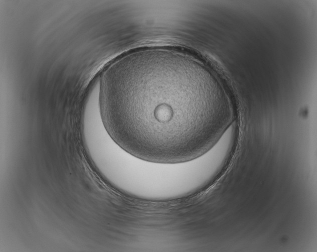 X0000116121457200912141033