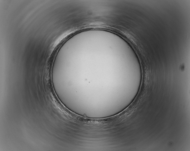 X0000116121458200912141033