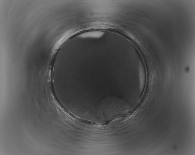 X0000116121459200912141033