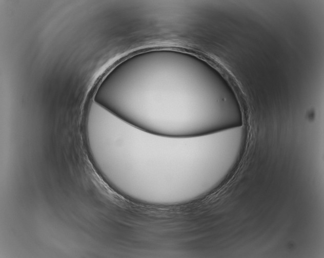 X0000116121460200912141033