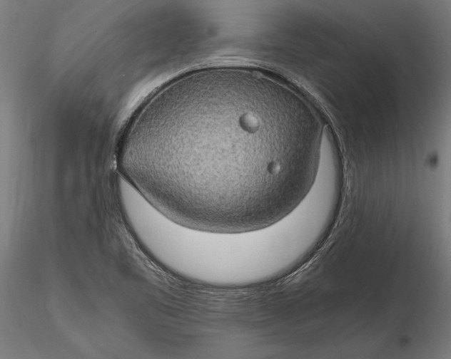 X0000116121461200912141033