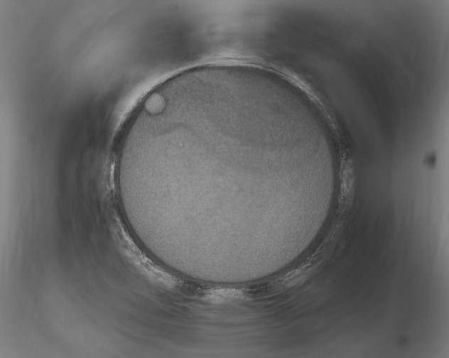 X0000116121462200912141033