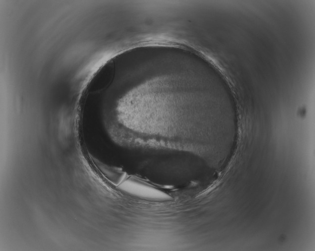 X0000116121463200912141033