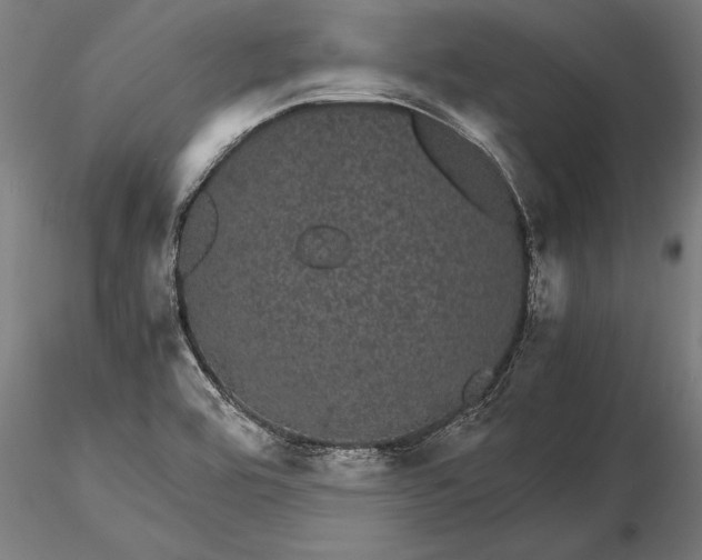 X0000116121464200912141033