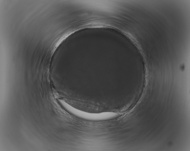 X0000116121465200912141033