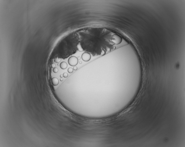 X0000116121467200912141033