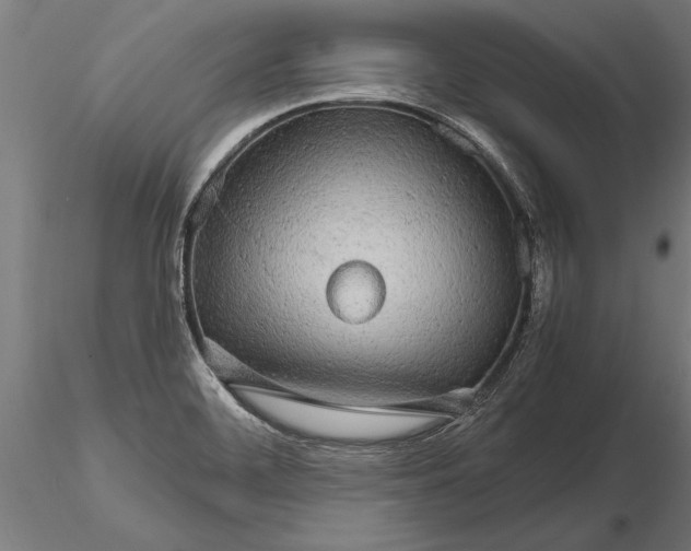 X0000116121468200912141033