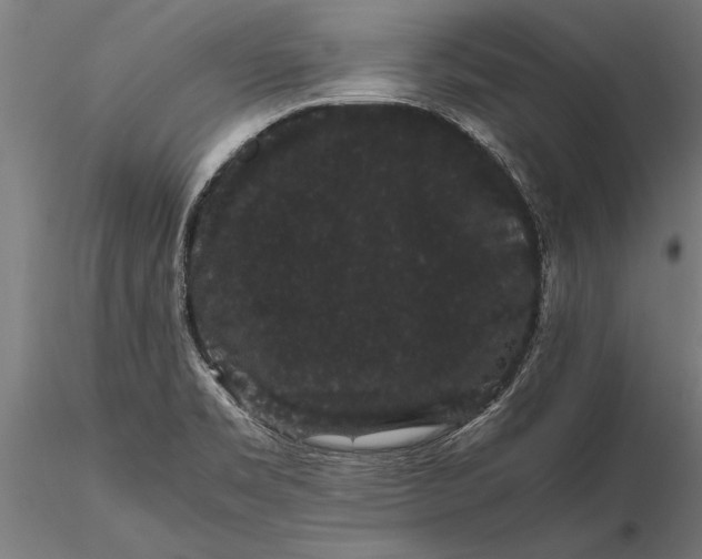 X0000116121469200912141033