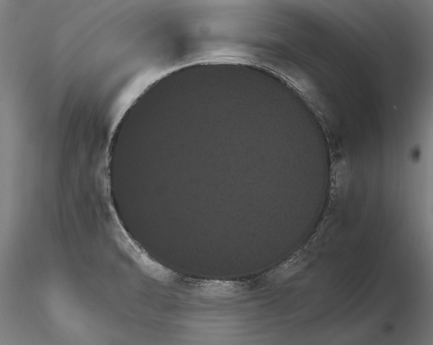 X0000116121470200912141033