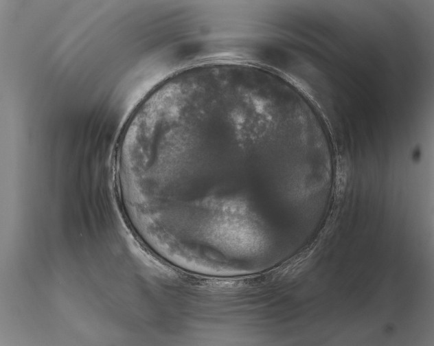 X0000116121474200912141033