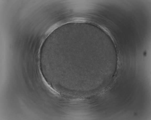 X0000116121475200912141033