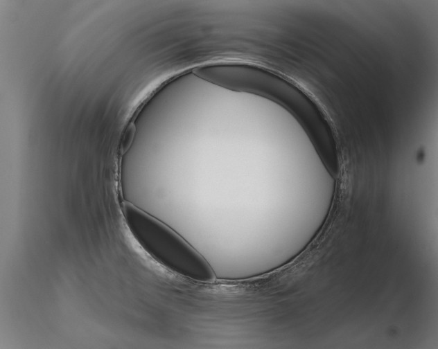 X0000116121476200912141033