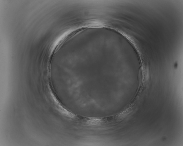 X0000116121477200912141033