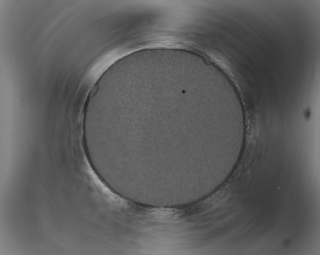 X0000116121479200912141033