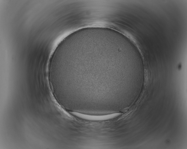 X0000116121480200912141033