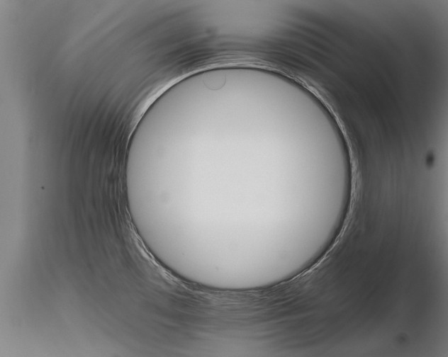 X0000116121481200912141033