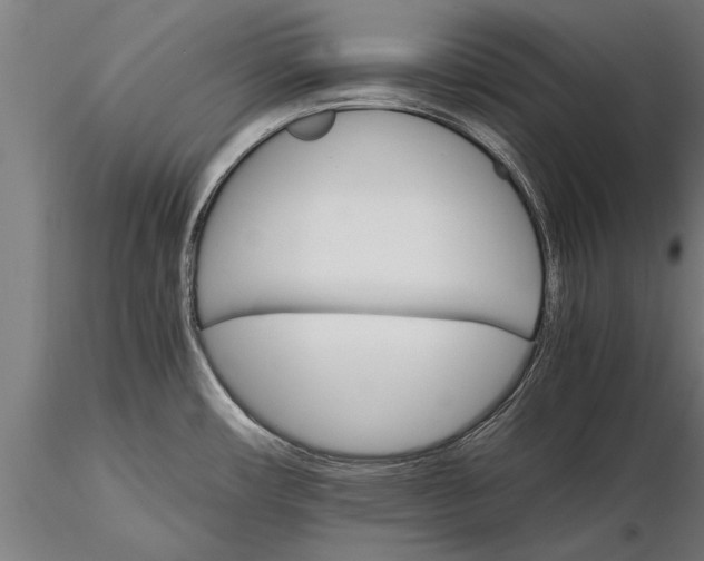 X0000116121482200912141033