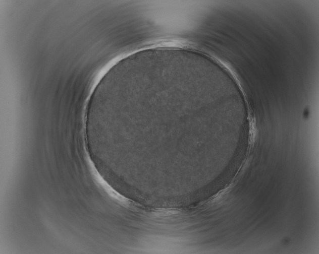 X0000116121483200912141033