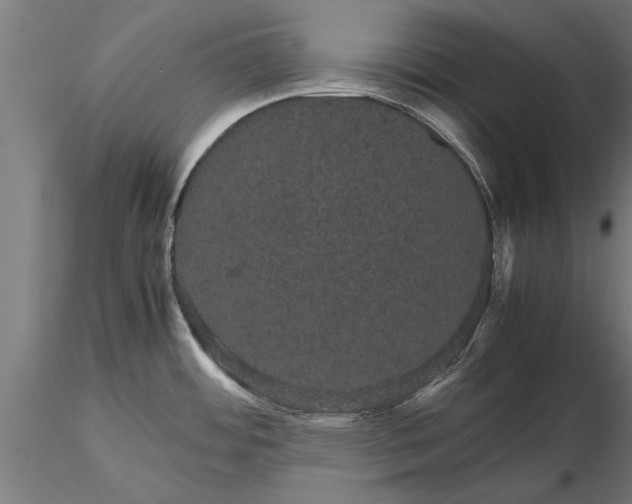 X0000116121484200912141033