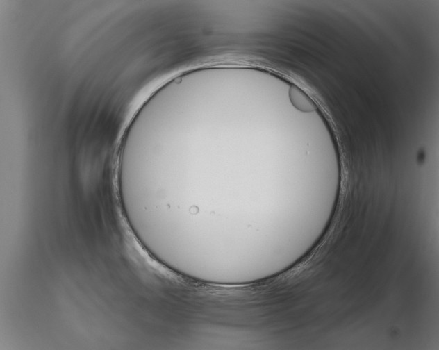 X0000116121486200912141033