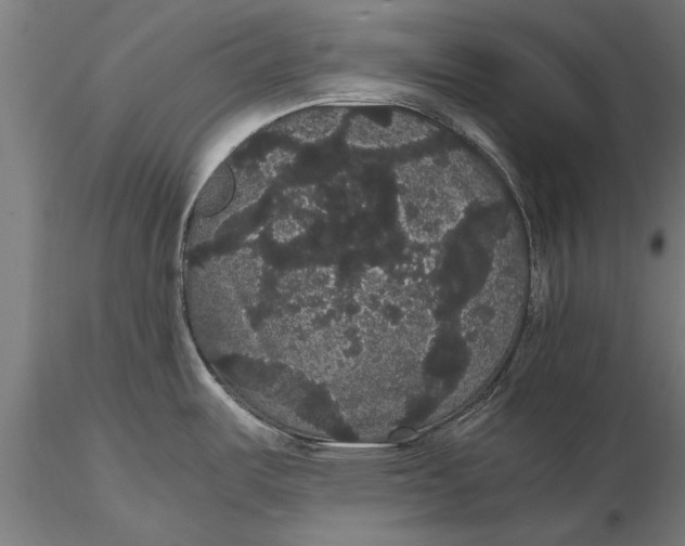 X0000116121487200912141033