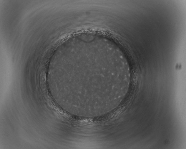 X0000116121489200912141032