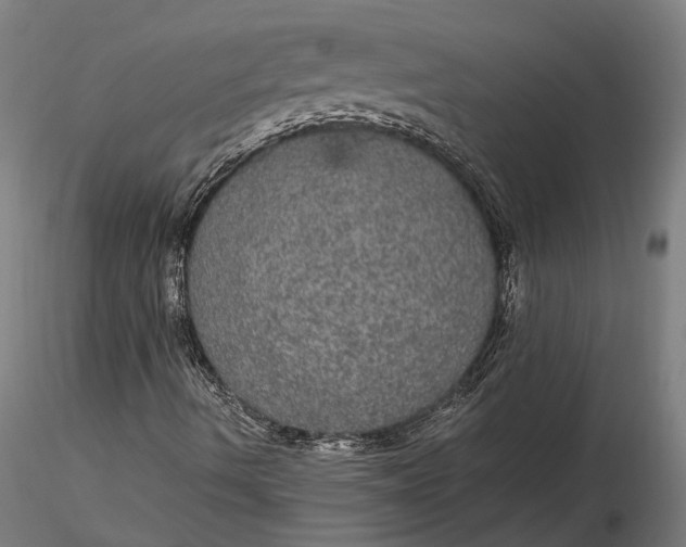 X0000116121490200912141032